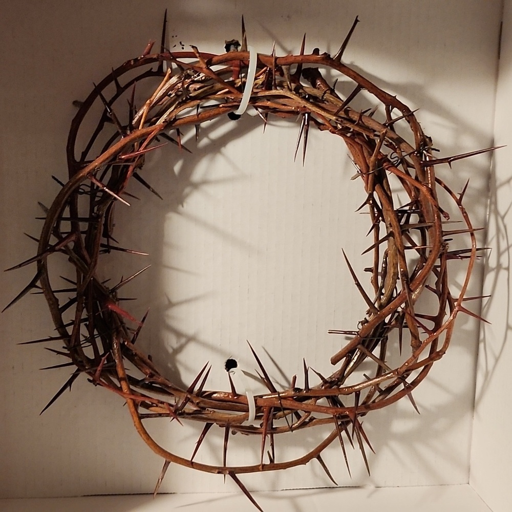 CROWN OF THORNS